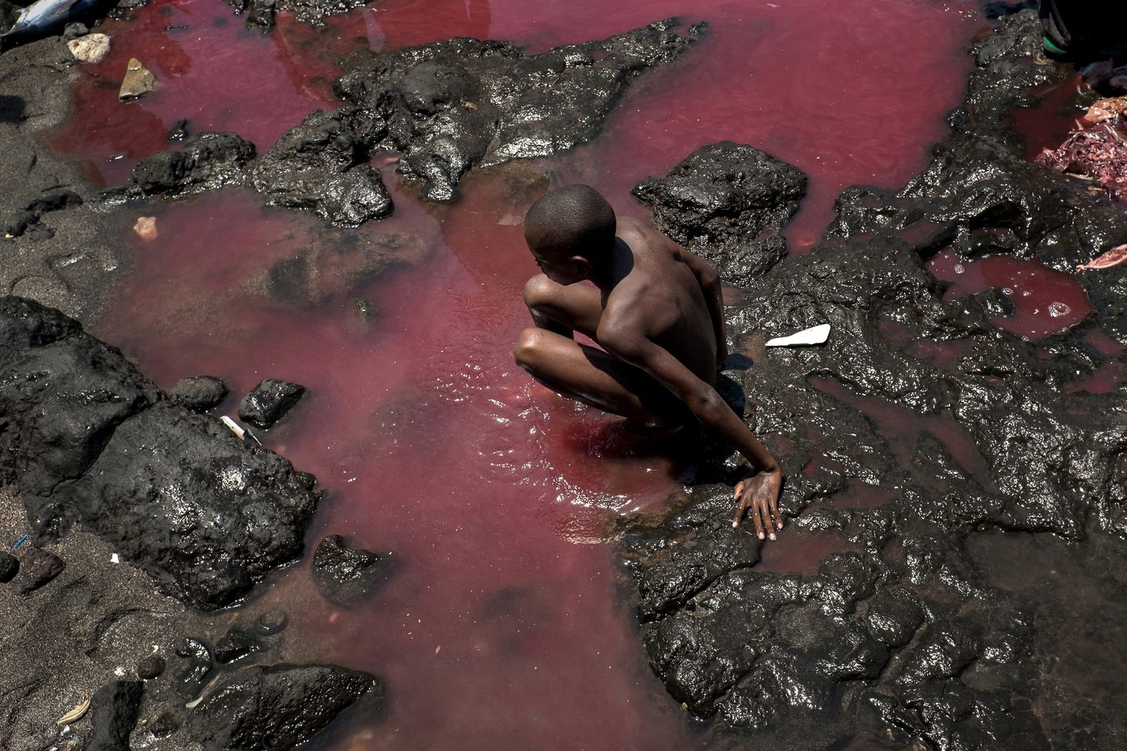 David Lemor — photo 2 (prise à Madagascar, Tanzanie ou Comores)
